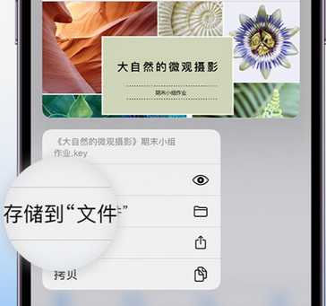 高明apple维修中心分享iPhone文件应用中存储和找到下载文件