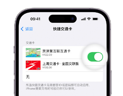 高明apple维修点分享iPhone上更换Apple Pay快捷交通卡手绘卡面 