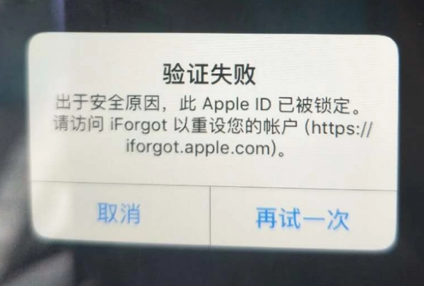 高明iPhone维修分享iPhone上正常登录或使用AppleID怎么办 