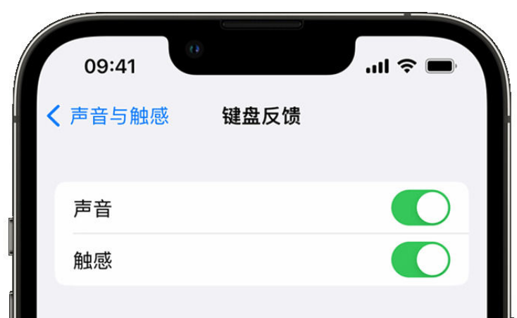 高明苹果手机维修分享iPhone 14触感键盘使用方法 