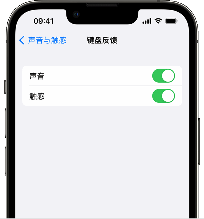 高明苹果14维修店分享如何在 iPhone 14 机型中使用触感键盘 