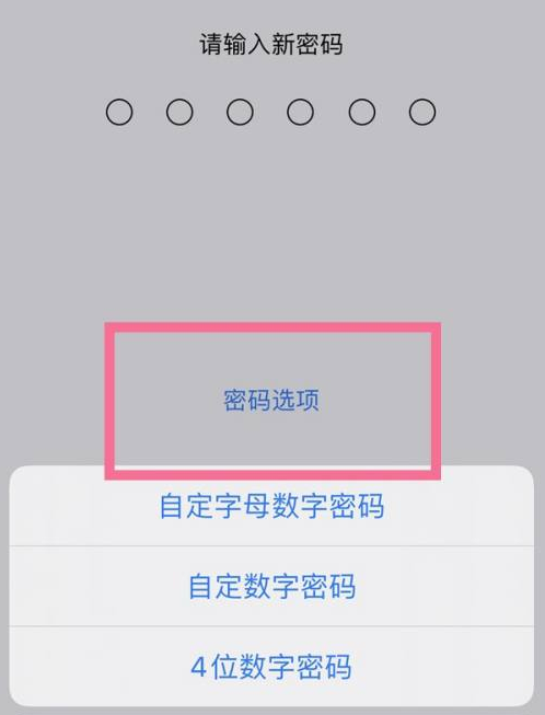 高明苹果14维修分享iPhone 14plus设置密码的方法 