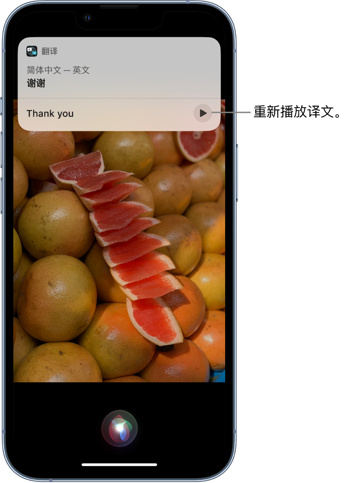 高明苹果14维修分享 iPhone 14 机型中使用 Siri：了解 Siri 能帮你做什么 