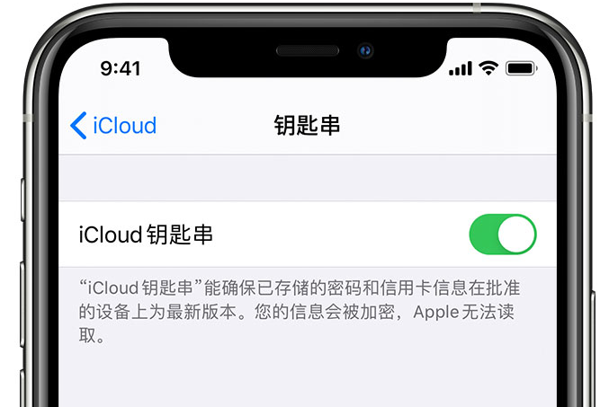 高明苹果手机维修分享在 iPhone 上开启 iCloud 钥匙串之后会储存哪些信息 