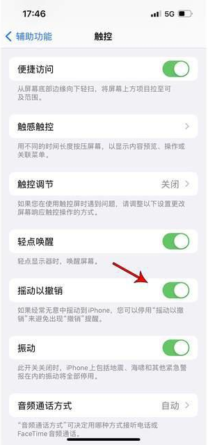 高明苹果手机维修分享iPhone手机如何设置摇一摇删除文字 